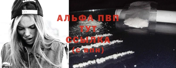 спайс Михайлов