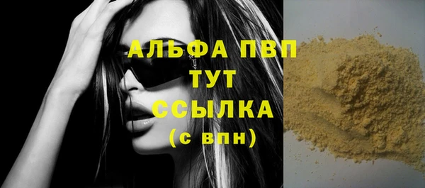 шишки Медвежьегорск