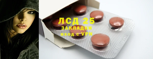 шишки Медвежьегорск
