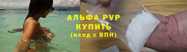 шишки Медвежьегорск
