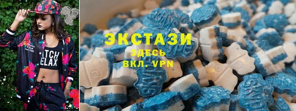 шишки Медвежьегорск