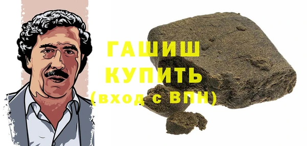 шишки Медвежьегорск