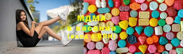 шишки Медвежьегорск