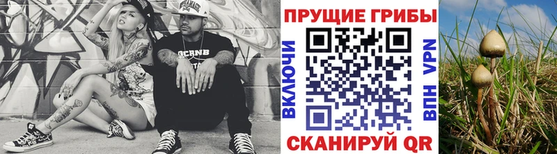 блэк спрут зеркало  мориарти состав  Псилоцибиновые грибы Psilocybine cubensis  Курск 